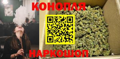 индика Бузулук