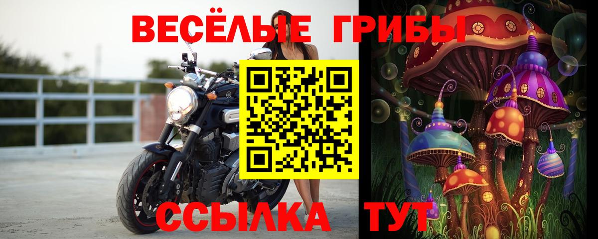 Псилоцибиновые грибы ЛСД  Вход с VPN  Мурманск 